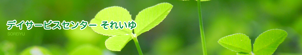 デイサービスセンターそれいゆ
